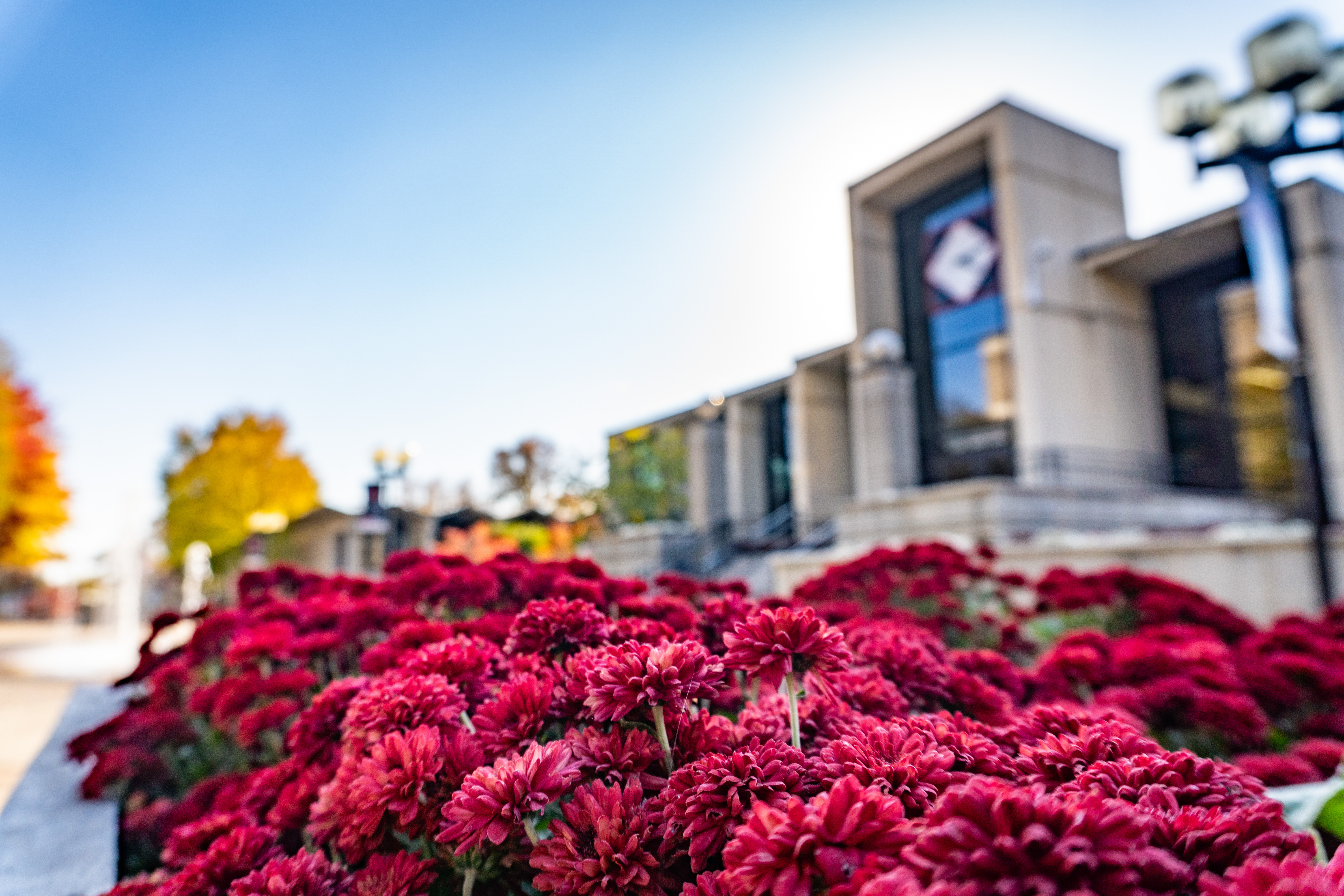 Campus at UCM